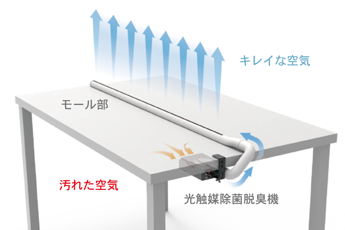 T01イメージ